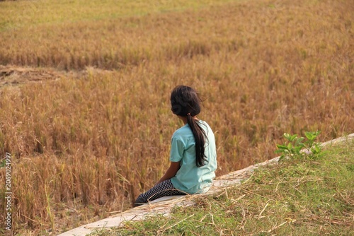 фотографія A young girl sits on a grassy bank, gazing across a harvested rice field