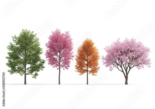 Set of four different deciduous trees with green pink and orange leaves isolated on a plain white background design