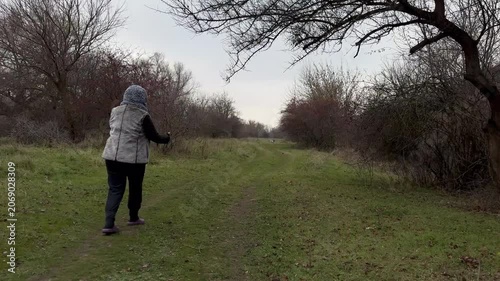woman walks her shaggy grey-and-white dog along a path through a winter meadow of bare trees. The playful mixed-breed dog runs toward the camera. Candid outdoor pet lifestyle, overcast day