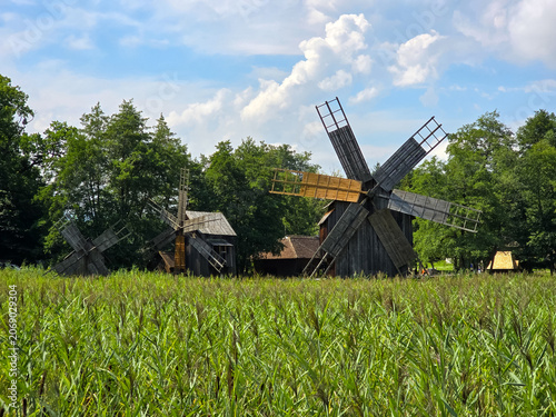 Cuadro en lienzo Traditional historic wooden windmills standing beyond tall green reed beds at the Astra Open Air Museum in Sibiu, Romania