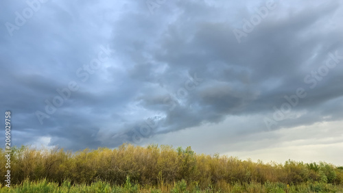 Dramatic view of dark, ominous storm clouds gathering over a lush green field and line of trees during a summer day in the countryside of Romania.