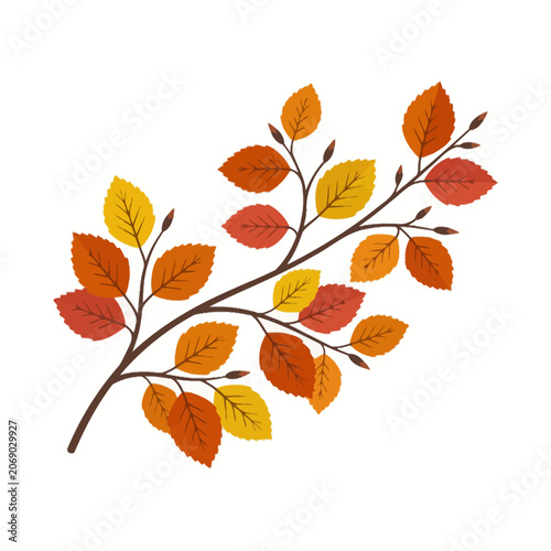 A beautiful autumn branch with colorful leaves on white