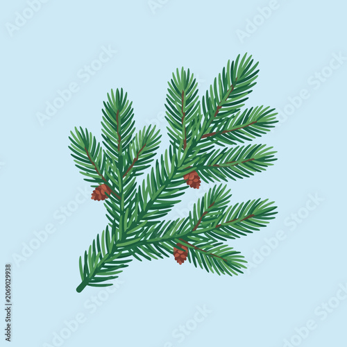 Green spruce branch with small brown cones on blue background