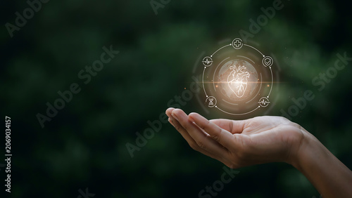 Human Hand Cupping Floating Digital Interface with Human Heart Organ and Medical Symbols for Telemedicine Cardiology Diagnostics and Smart Healthcare Concept