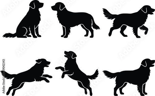 Photos Set of golden retriever dog silhouettes in different poses
