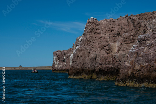 Ria de Puesto Deseado Nature Reserve, Santa Cruz Province, Patagonia, Argentina.