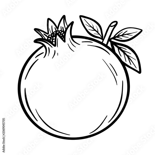 Minimalist Black and White Line Art Drawing of a Whole Pomegranate with Leaves, Isolated Illustration