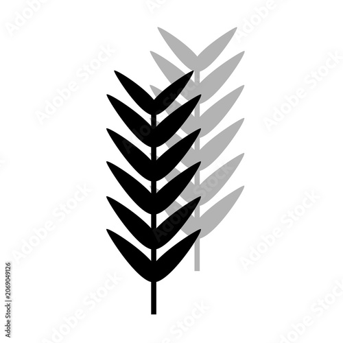 Vector image of a flower, black, white, gray, natural, imaginative, fantasy flower shapes, brightness and splendor, saturation and tenderness, on a white background
