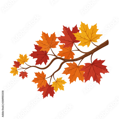 Autumn maple leaves rest on a gracefully curved branch in sunlight
