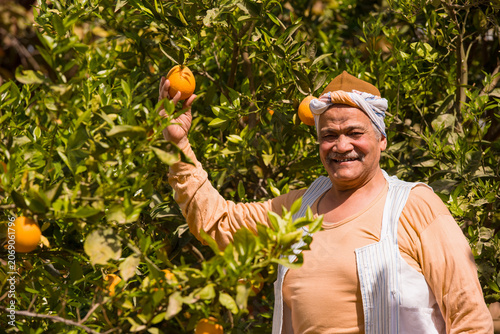 Tablou pe pânză Proud senior Middle Eastern male orange farmer wearing traditional white headwra