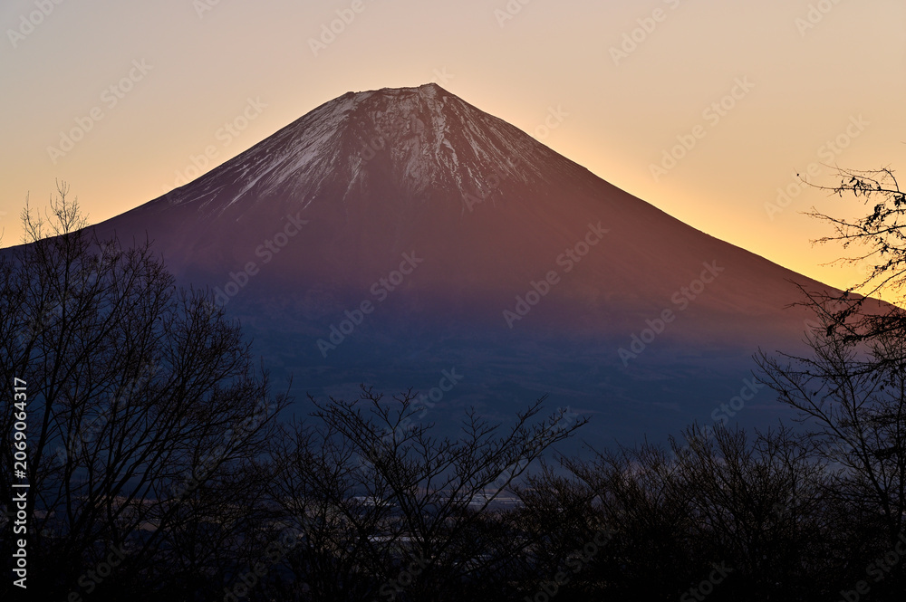 Obraz premium 天子山地の長者ヶ岳 富士山展望台からの朝焼けの富士 