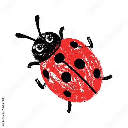 Cute red ladybug vector illustration with chalk texture, isolated crayon ladybird insect.