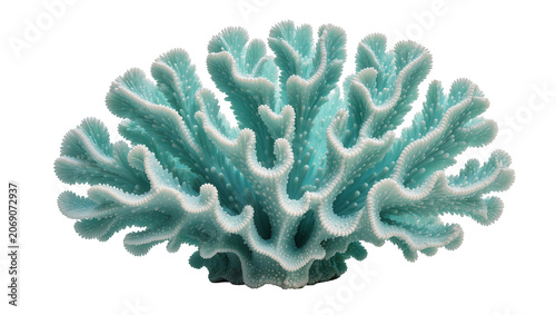 Tableau sur toile Blue coral with intricate branching structures, isolated on transparent backgrou