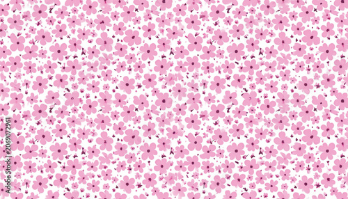 Pink flowers on white background.