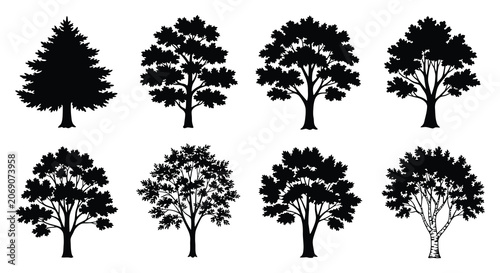 Bild auf Leinwand Tree Silhouettes Collection On White Background Black Vector Graphics