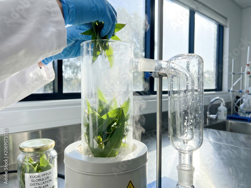 Researcher Handling Green Leaves Modern Laboratory