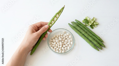 Freshly Picked Okra and Seed Preparation Scene
