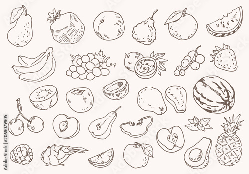 Hand-drawn fruit collection with pear, banana, watermelon, grapes, pineapple, avocado, apple, peach, kiwi, and berries. Vintage sketch style food illustration set