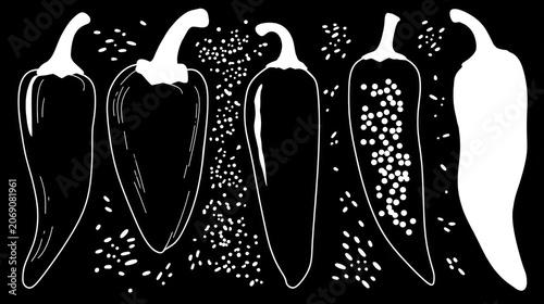 Five stylized representations of ripe chili peppers displayed across a dark background