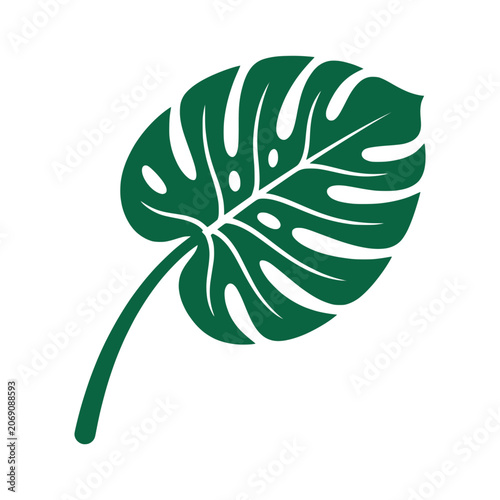 Emerald green split leaf houseplant graphic element for modern botanical design