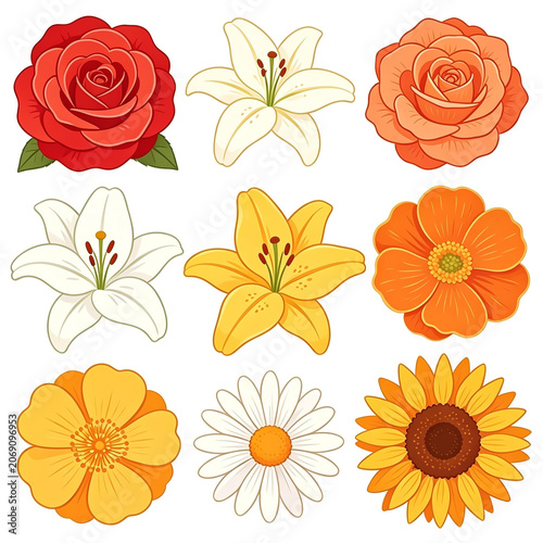 Collection of Beautiful Flowers, Red & Orange Rose, White & Yellow Lily, Sunflower
