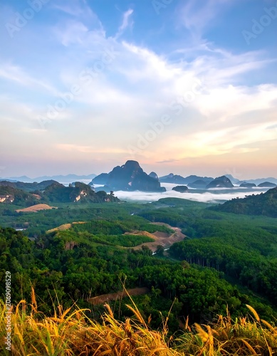 Lush Green Mountain Landscape Covered in Morning Mist at Sunrise