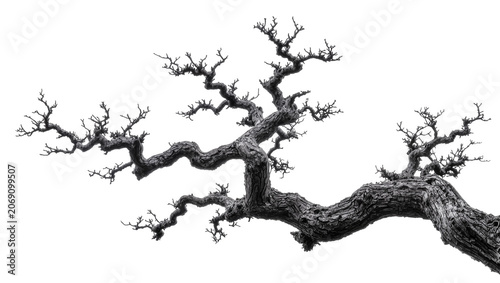 Foto Isolated dramatic black and white gnarled tree branch, twisted organic artistic
