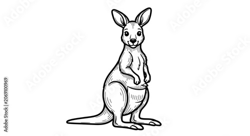Cute Cartoon Kangaroo Line Art Illustration