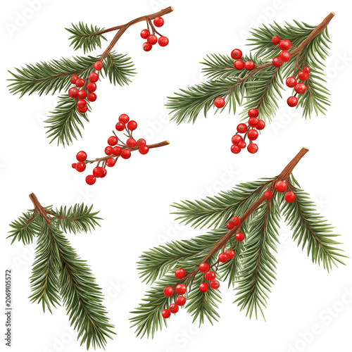 Evergreen Branches Adorned with Vibrant Red Berries, a Festive Botanical Arrangement