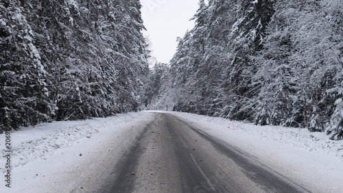 Cuadro en lienzo Snow covered two-lane road stretching into distance between tall evergreen trees