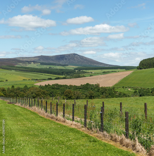фотографія Ben Rinnes Mountain dominates the Moray landscape, viewed from Glenlivet Distill