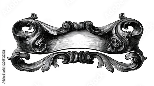 Vintage ornament in Baroque style, with a black and white frame full of detailed arabesques and scrolls.