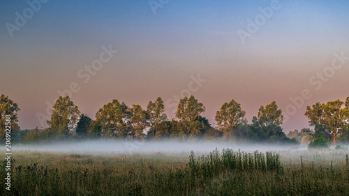 Morning Mist Over the Belgian Countryside at Harchies
