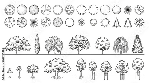 Fine line stipple tree elevations and plan views featuring sapling growth stages with tree stakes