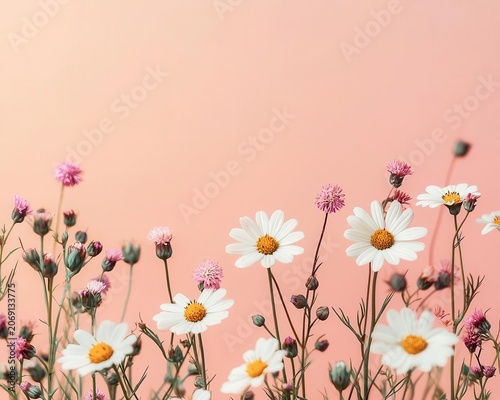 Breezy wildflower field under pastel sky, summer warmth gently passing