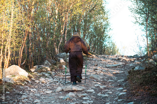 Hiker with walking poles ascending a rocky forest trail