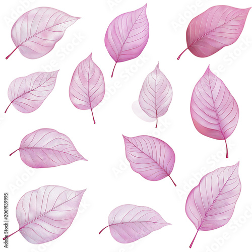 Delicate Pink Leaf Assortment with Visible Veins and Subtle Color Variations