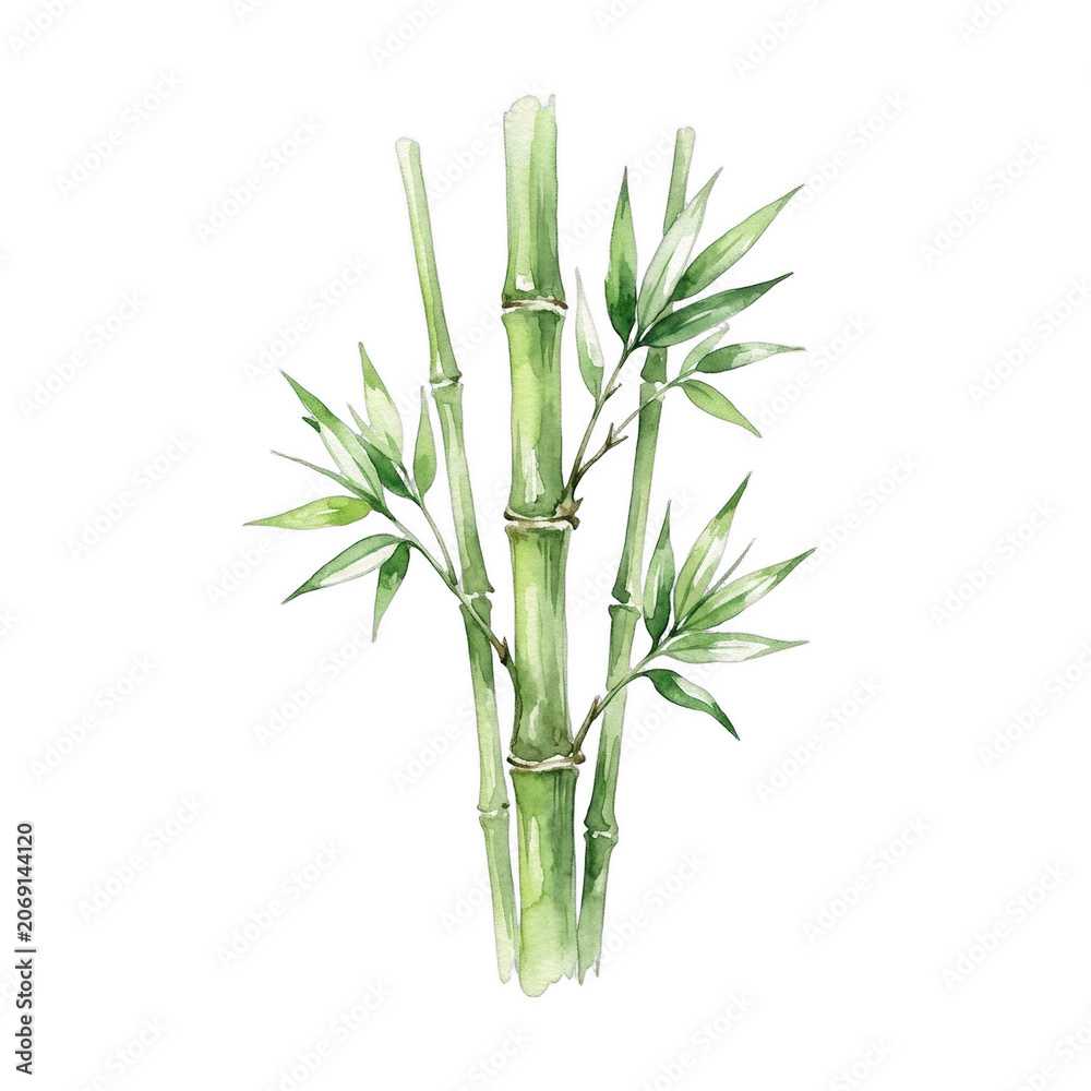 Obraz premium Watercolor bamboo stalks with green leaves on black background