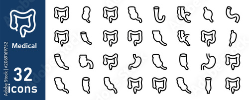 Canvas-taulu Set of 32 icons representing human digestive system organs, medical illustration