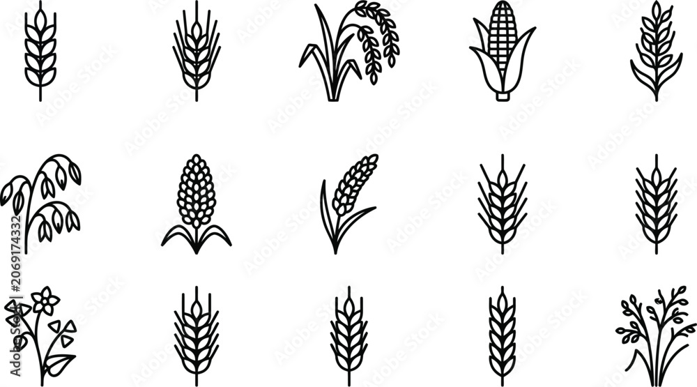 Naklejka premium A collection of fifteen minimalist black and white line art icons depicting various cereal crops and grains for agriculture