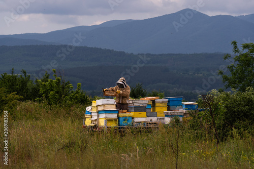 A beekeeper in a white protective suit holds bees and beeswax in a wooden frame.