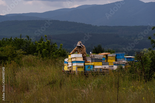 A beekeeper in a white protective suit holds bees and beeswax in a wooden frame.