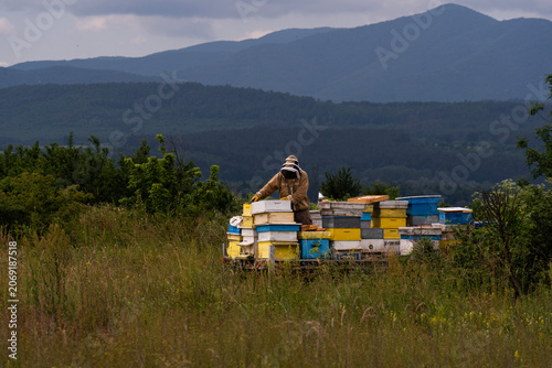 A beekeeper in a white protective suit holds bees and beeswax in a wooden frame.