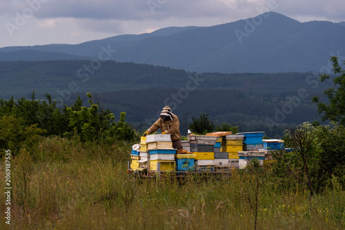 A beekeeper in a white protective suit holds bees and beeswax in a wooden frame.