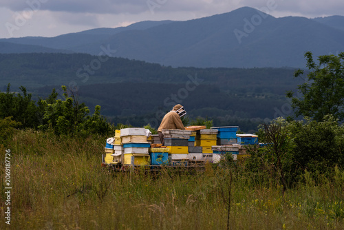 A beekeeper in a white protective suit holds bees and beeswax in a wooden frame.