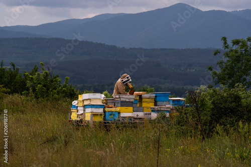A beekeeper in a white protective suit holds bees and beeswax in a wooden frame.