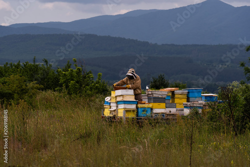 A beekeeper in a white protective suit holds bees and beeswax in a wooden frame.