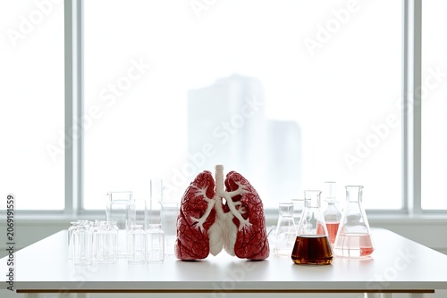 Anatomical lungs model and lab equipment on a white table