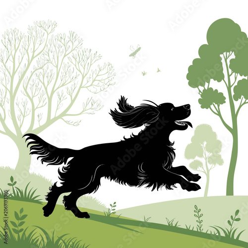 cocker spaniel silhouette running through park with flowing ears vector