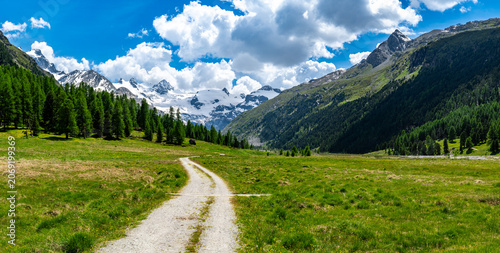 View of the Roseg Valley, photographed in summer, with its glaciers and vegetation.